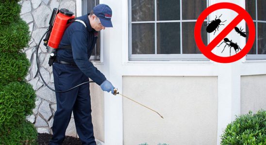 Güzelyalı Akrep İlaçlama böcek ilaçlama ve haşere kontrolü — ilaclama-tr.com